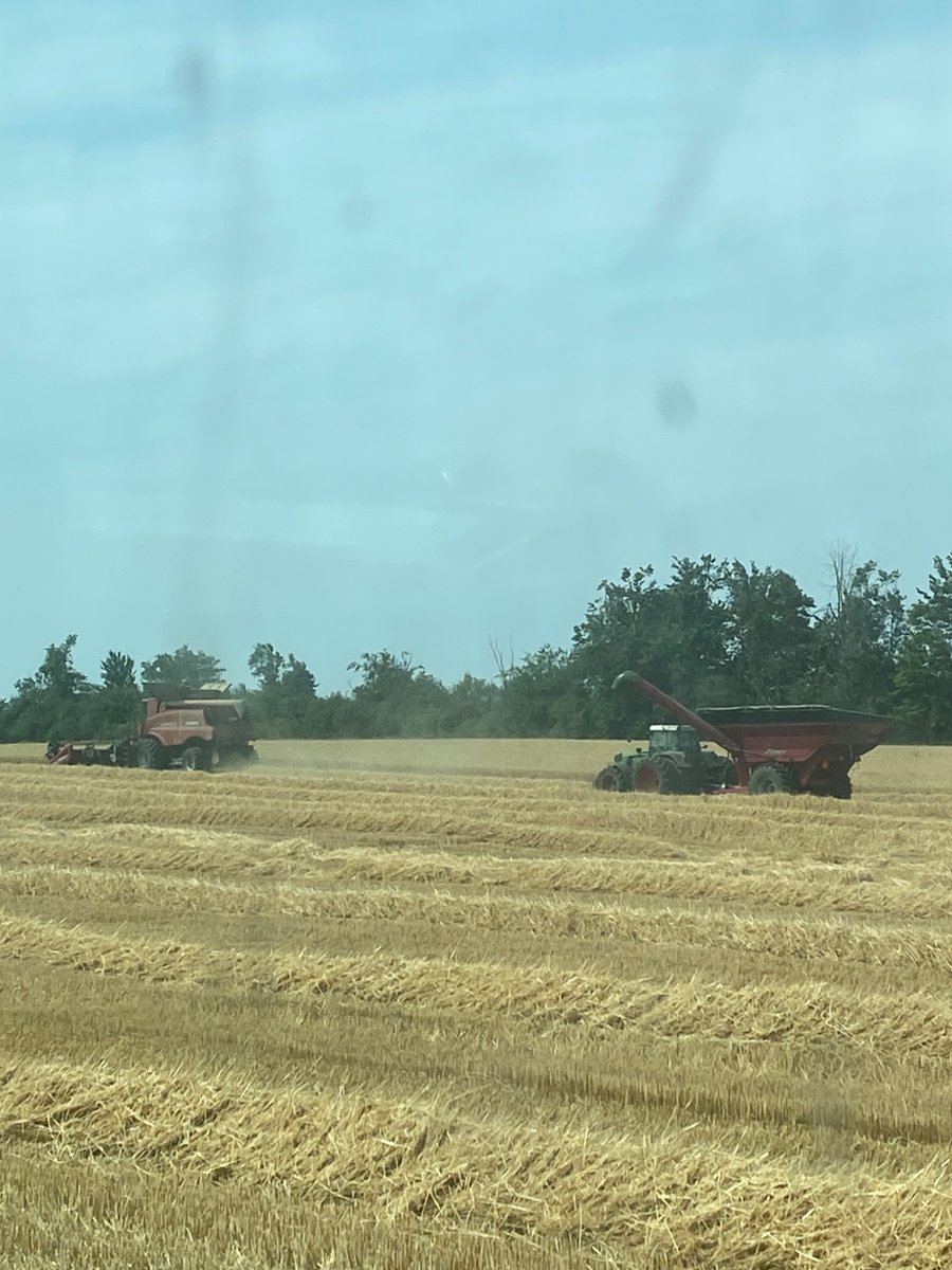 Aaron de Vos tweet media