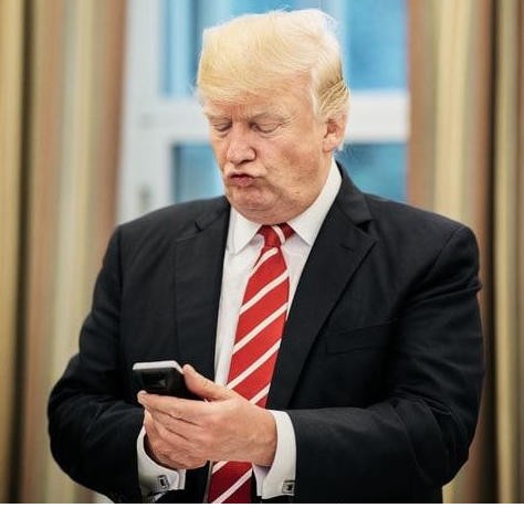 Tweet media one