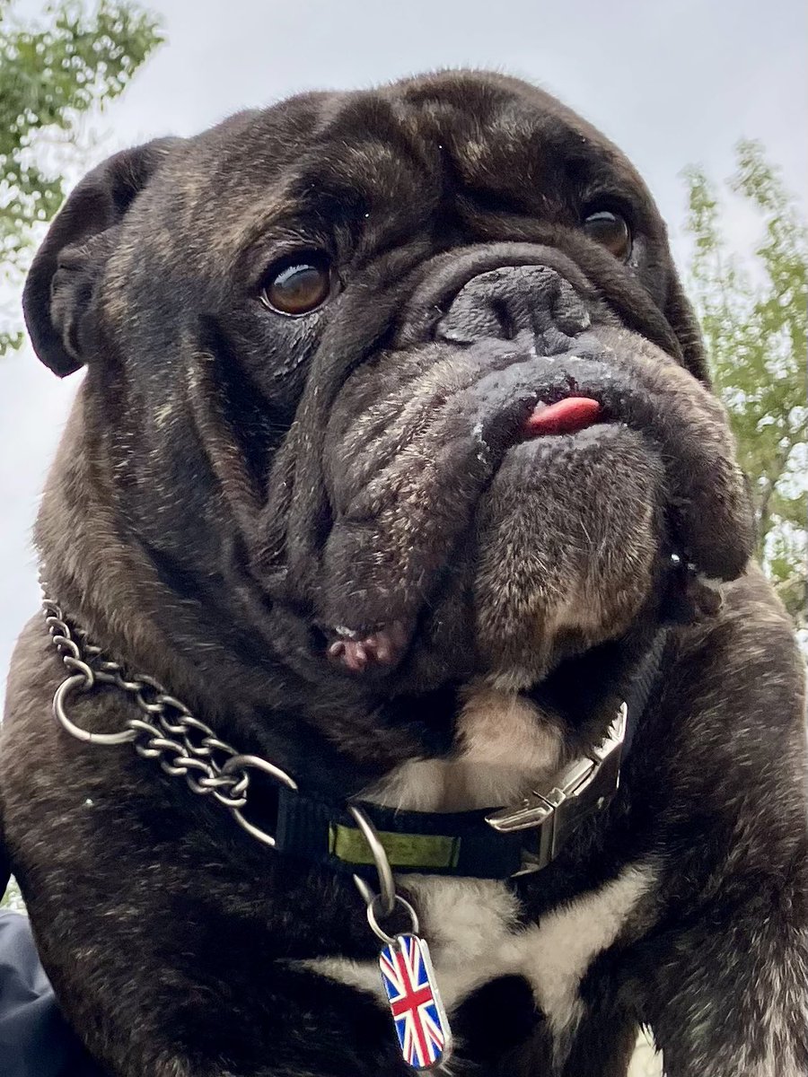 Guess who’s back! Back again! Bubba’s back! Tell a friend!!