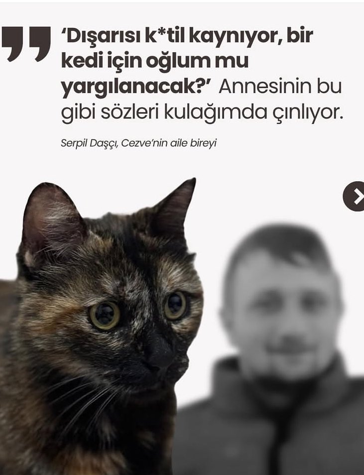 İşte Mesele Tamda Bu!
“Bir Kedi İçin” diye oğlundan aşağı gördüğün, o canın tek bir tüyünü yaratabilirmisin?
Bugün Kedi, yarın Çocuk Kadın katleder senin oğlun; o zamanda “O Çocuk için, o Kadın için” diyebilecekmisin ?!
Senin Cani Psikopat oğlun Cezve’yi annesinden kopardı,