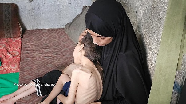 #عاجــــــــــــل
⛔المجاعة في غزة
انسخ هذه التغريدة وارفق بها صور ومقاطع عن المجاعة في غزة، ثم شارك بها بشكل متكرر وكبير في حسابك، لأن بها كل الوسوم العالمية.
يا عالم، يا منظمات دولية، يا حقوق إنسان، يا دول وحكومات، نناشدكم بالتدخل فورا وإنقاذ مليون و800 ألف إنسان من الموت جوعا