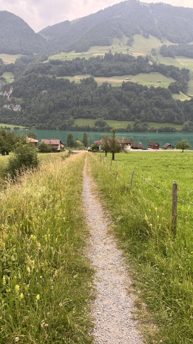 السفر من أهم الاشياء اللي تبهجني اتمنى ازور كل العالم 🌏✈️🗺️