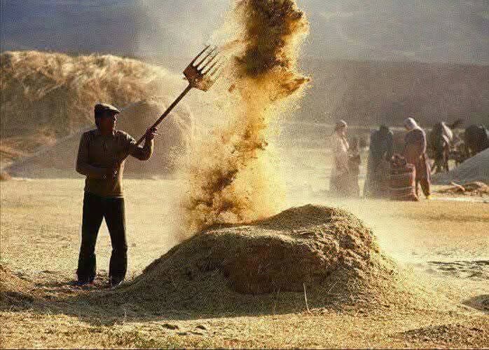 Alın teriyle kazanılmış bir dilim ekmek, 
Dünyanın en büyük nimetlerinden biridir...
