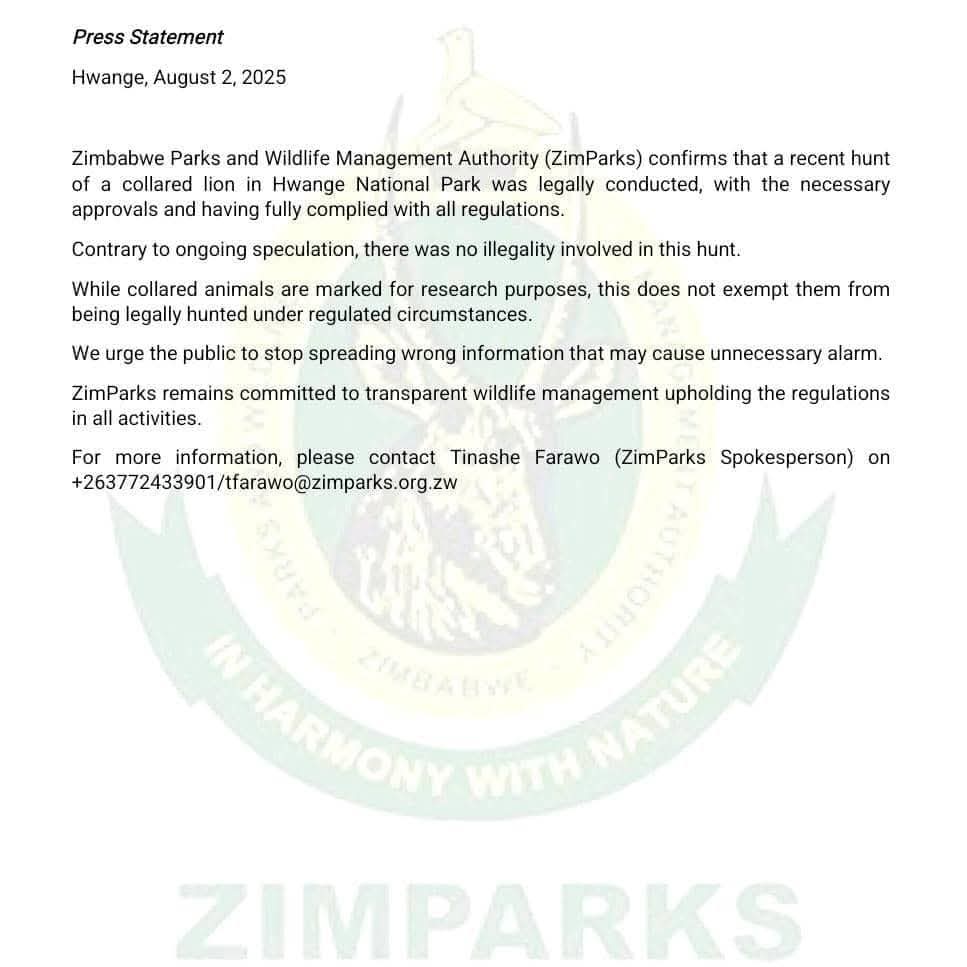 1/
BLONDIE IS DEAD.
ZIMPARKS SAYS IT WAS LEGAL.

That’s not the point. 🧵

#JusticeForBlondie #LionConservation