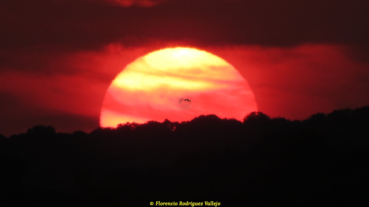 Floren Martiago (@florenmart94516) on Twitter photo <a href="/WildlandFirefig/">Ignacio Villaverde</a> estas fotos he hecho de la puesta de Sol y del humo de los incendios de Portugal: <a href="/WildlandFirefig/">Ignacio Villaverde</a> estas fotos he hecho de la puesta de Sol y del humo de los incendios de Portugal:
