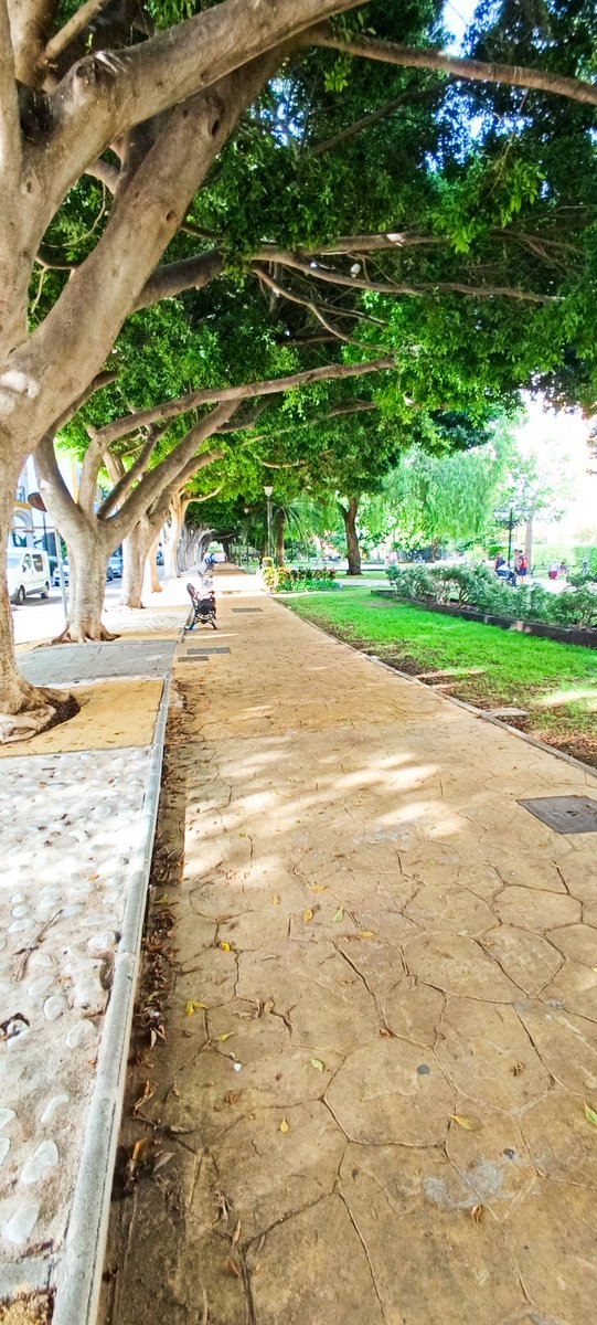 Cada vez que paso por éste parque de Fuengirola, menos entiendo a los políticos que prefieran esos páramos sin arboleda y sólo cemento