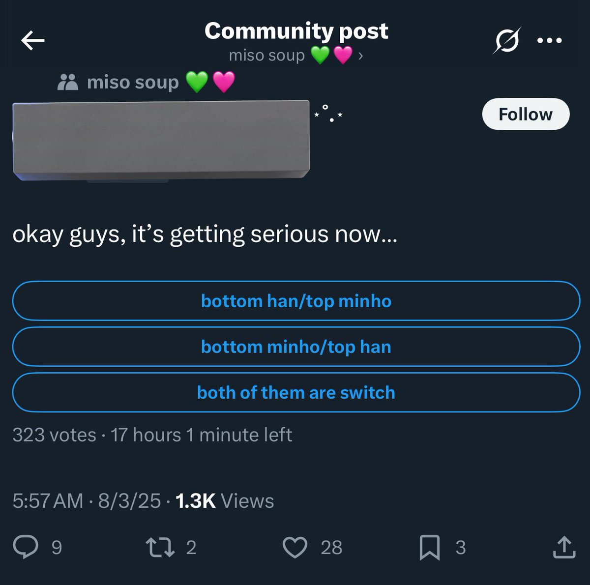 please please please learn the difference between switch and vers. if you’re going to partake in lgbtqia+ discourse, pls know what you’re saying