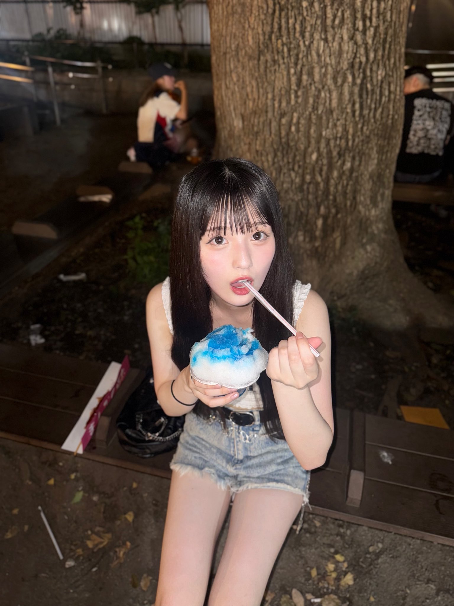 入江一子、【ギャルタンジュド湖】、希少な額装用画集より、新品