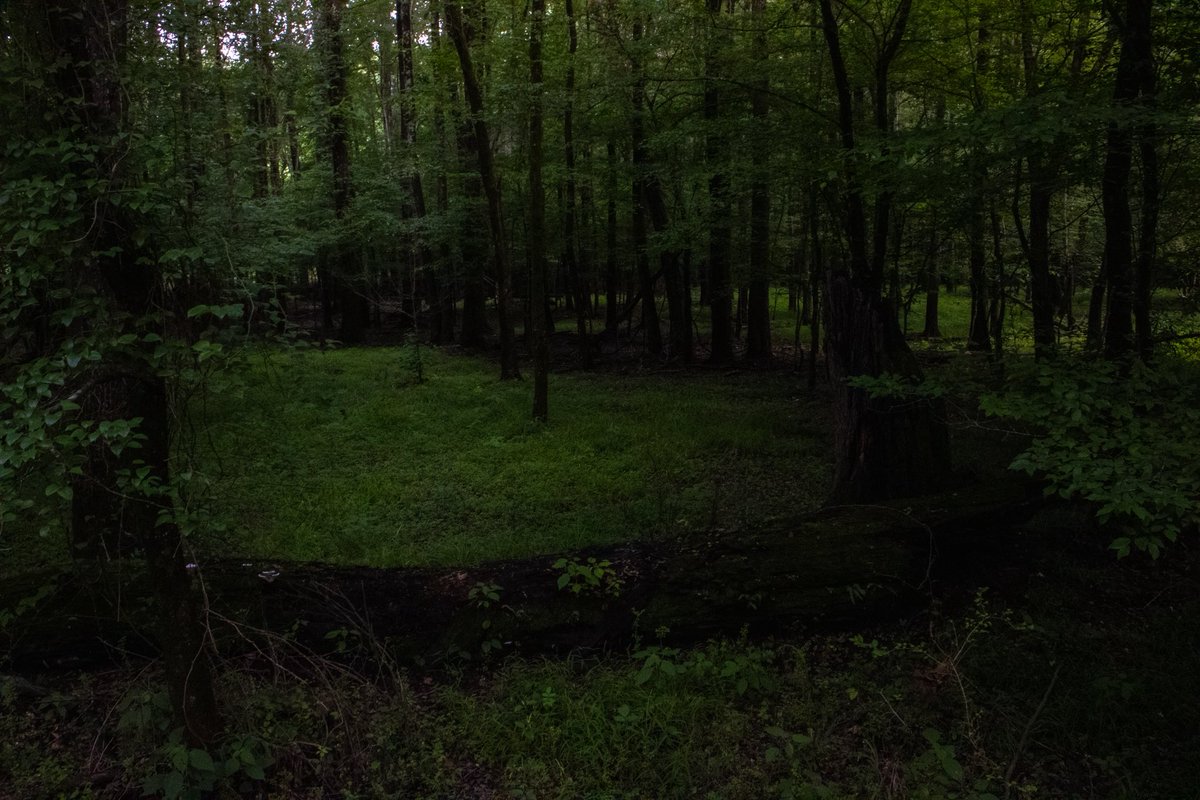JT_VISUALS_'s tweet photo. Sum pics i took over summer https://t.co/370m6HQrFU