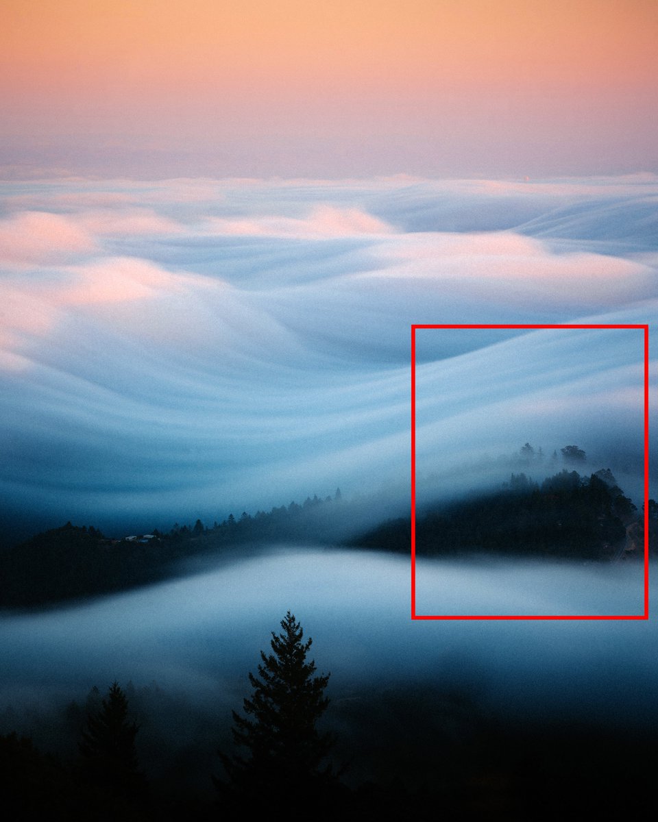 michaelboegl's tweet image. the art of cropping