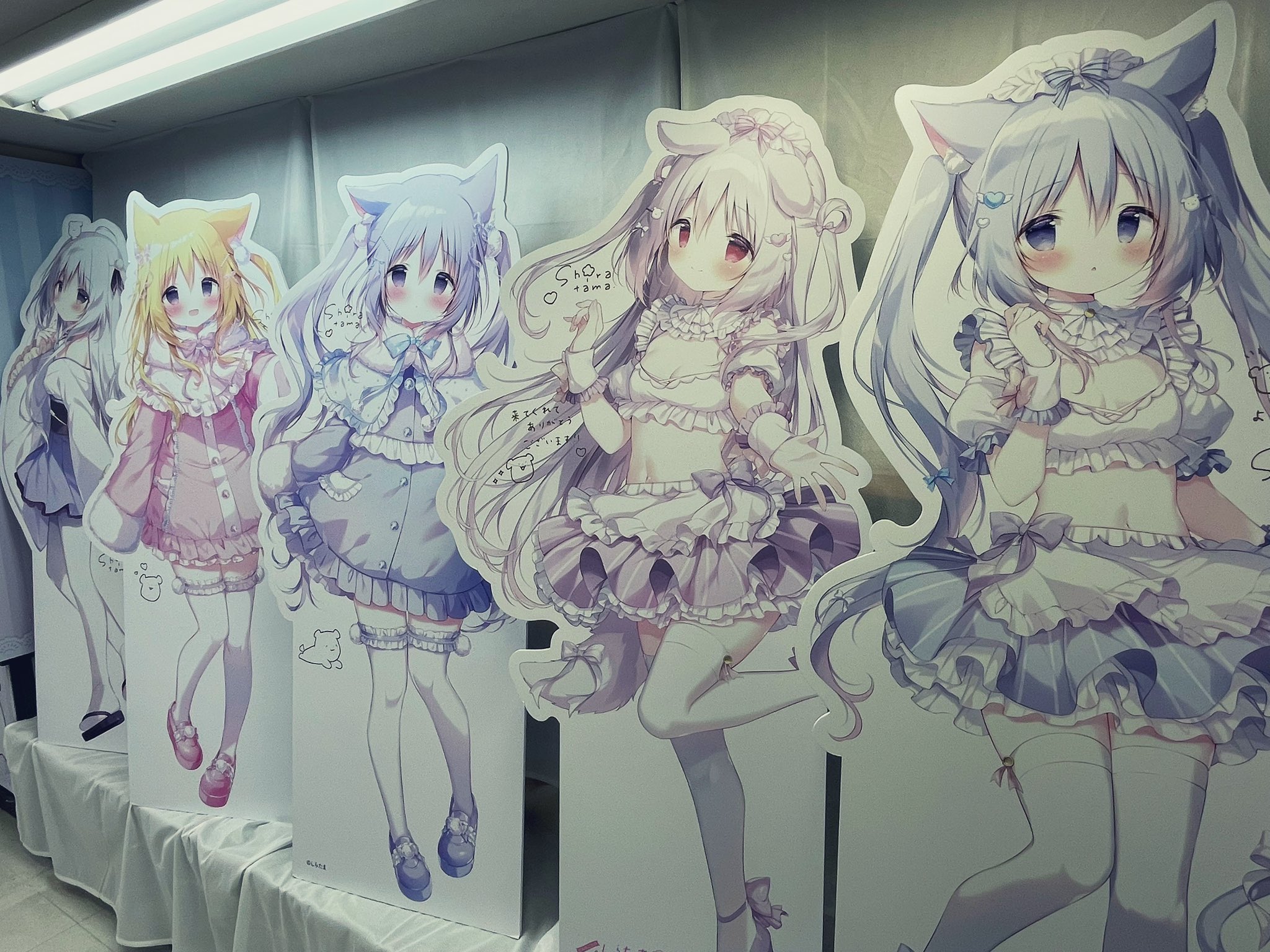 しらたまオンリーショップ - Search / X