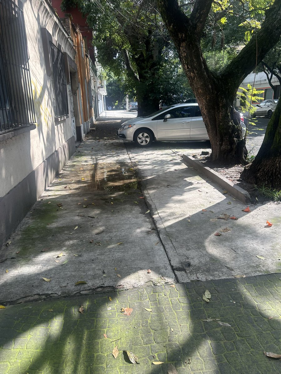 Col. Guadalupe Inn tweet media