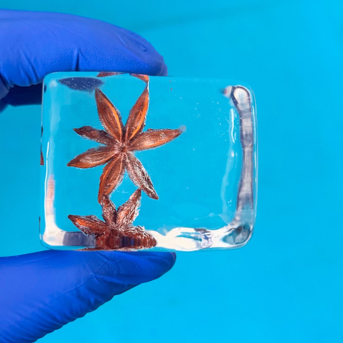 imjobinjohn's tweet photo. Infused Cubes https://t.co/3GEOfmon3N