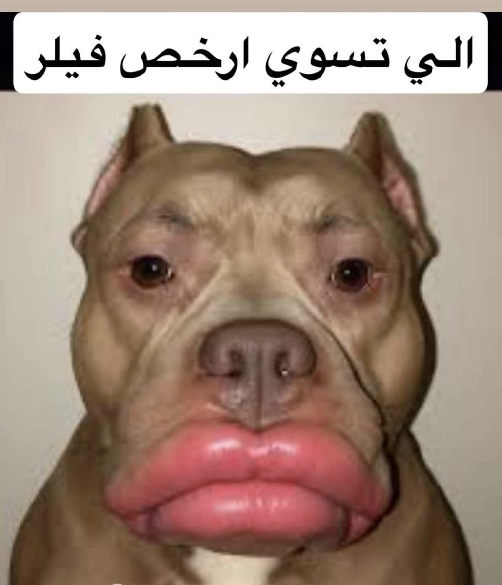 🤣🤣🤣🤣🤣🤣🤣🤣