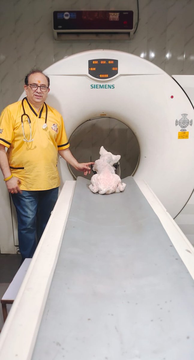 TheDogMother_'s tweet image. Battling most critical of cases with back to back #rescue calls! Im overwhelmed with bills, credit &amp;amp; shortage of #food. Urging you all to #doyourbit 🙏
UPi 8810309001@kotak or via our Amazon Wishlist amazon.in/hz/wishlist/ls…
Every bit matters 🐾🐾
#Dogs #RescueDogs #Kindness