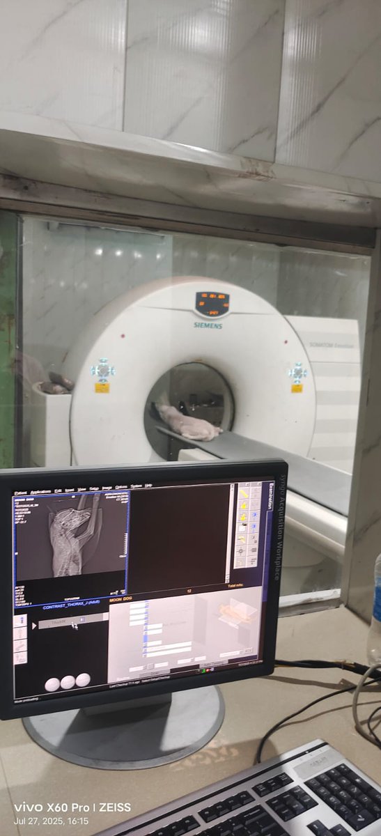 TheDogMother_'s tweet image. Battling most critical of cases with back to back #rescue calls! Im overwhelmed with bills, credit &amp;amp; shortage of #food. Urging you all to #doyourbit 🙏
UPi 8810309001@kotak or via our Amazon Wishlist amazon.in/hz/wishlist/ls…
Every bit matters 🐾🐾
#Dogs #RescueDogs #Kindness