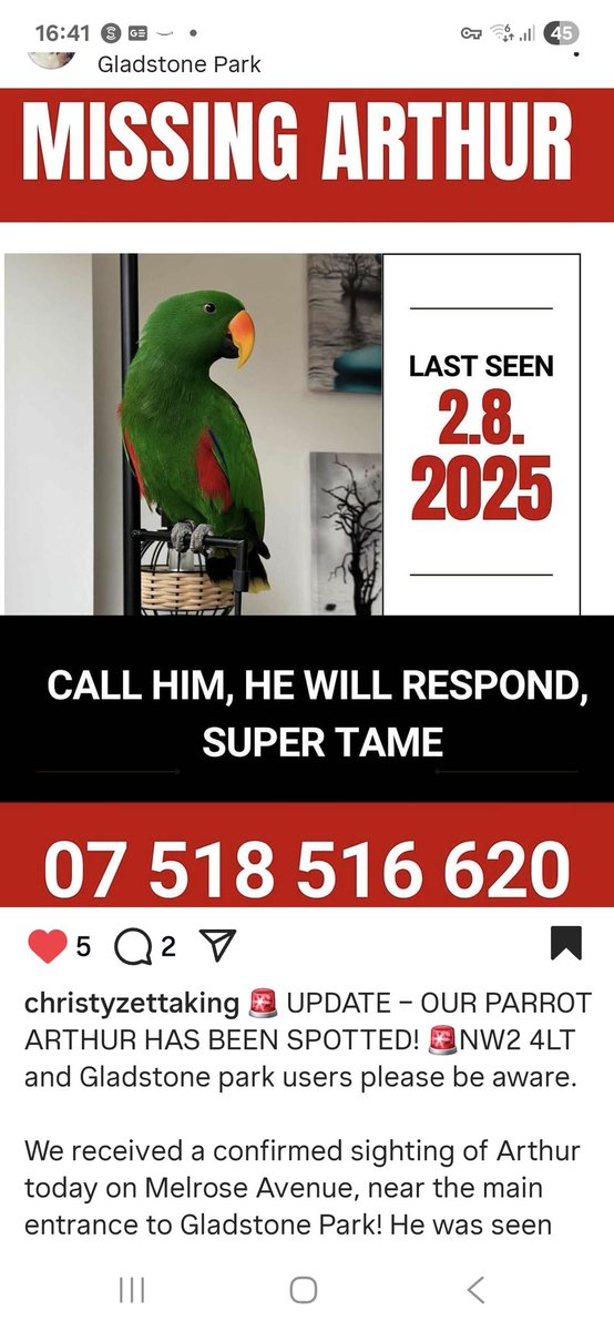 #MissingParrot #Willesden #GladstonePark #WillesdenGreen #NW2 #Parrot