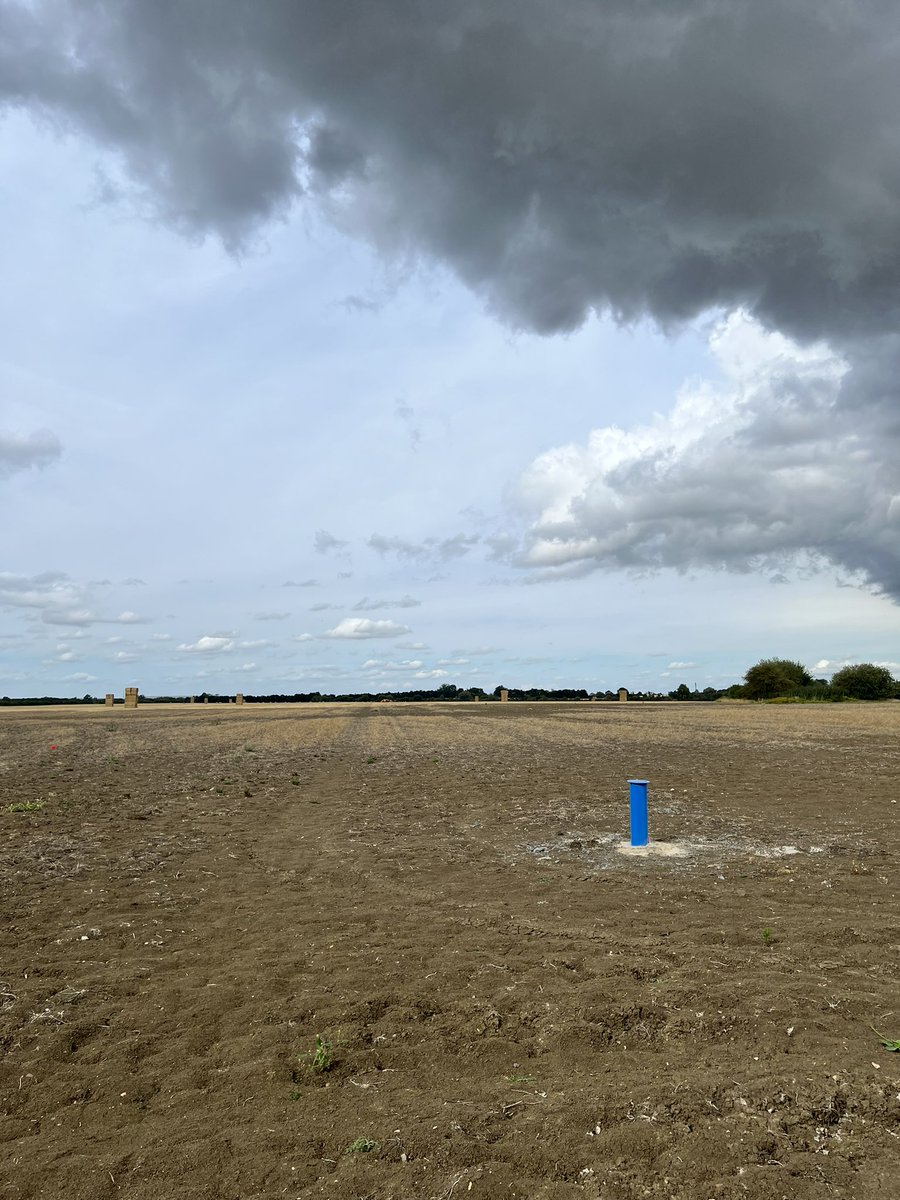 Tom 🎢 tweet media