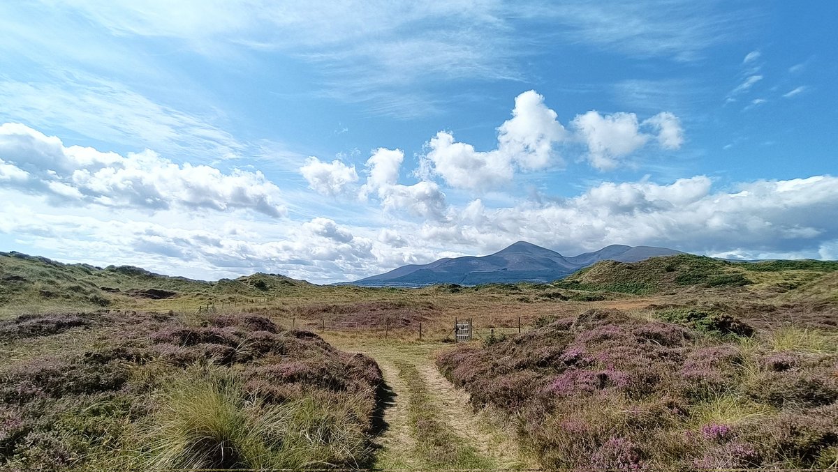 The calm before the storm, murlough and the mournes at lunch time, 22° and perfect for walking 
<a href="/barrabest/">Barra Best</a> 
<a href="/bbcniweather/">BBC NI Weather</a> 
<a href="/WeatherCee/">Cecilia Daly</a> 
<a href="/BBCWthrWatchers/">BBC Weather Watchers</a>