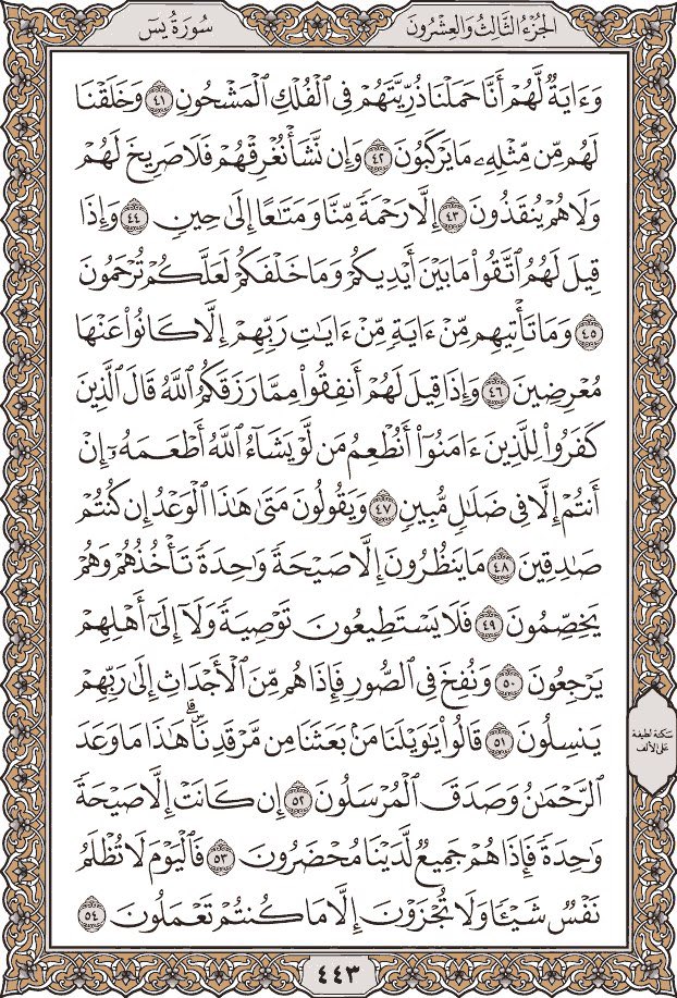 no_mi_mo's tweet image. 💢صَفْحَتين مِنْ الْقُرْآنِ يَوْمِيًّاً
كَفِيلَةً بِأَنْ تُبْعِدَكَ عَنْ هَجْرِهِ

يقول النبي ﷺ: من دلّ على خير ؛ فله مثل أجر فاعله (رواه مسلم). 
سورة #يس من آيه (41الى70)
#اسطول_زعماء_تويتر 

┄┉❈❖❀✺❀❖❈┉┄