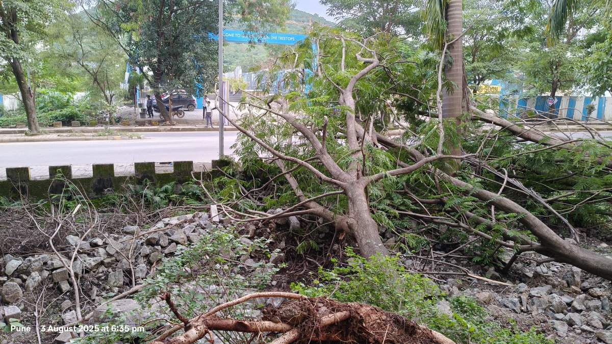 MegapolisResdnt's tweet photo. The @MegapolisPune common park is owned and maintained by @Kumarproperties - completely damaged with broken boundary walls for months. No repair! No action! Dangerous! @OfficialPMRDA @midc_india @CREDAIPune @geradevelopment
#MegapolisPune #hinjawadi #KumarBuilder #pune #park https://t.co/n0oyh4fttE