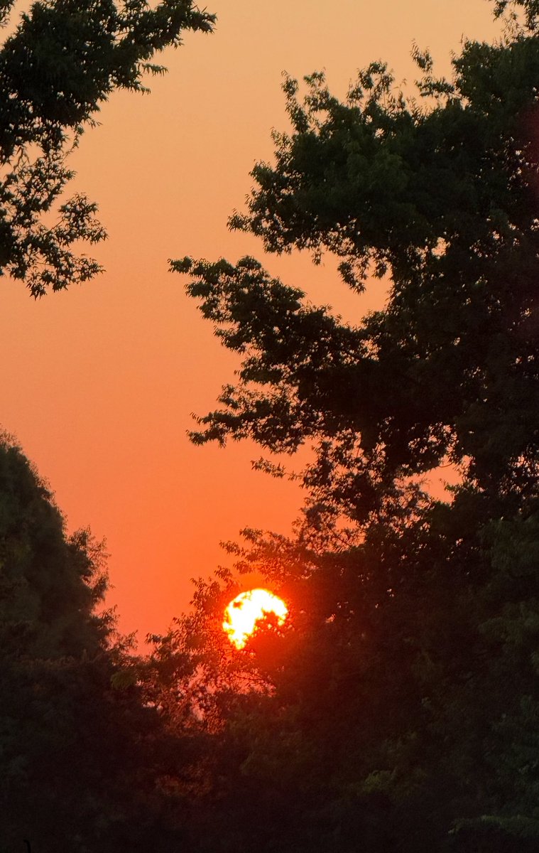 SUNsational
