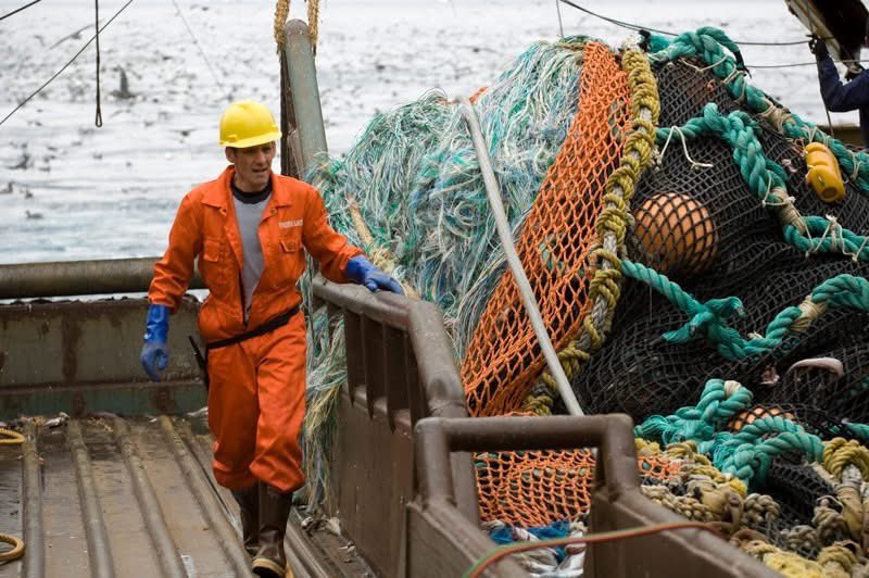 Alaska Pollock Fishery Alliance tweet media