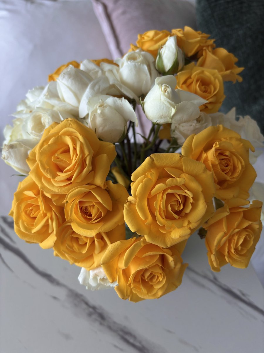 Every 6 months, I pick a new skill to study in my spare time 

Something outside of work to improve my life in some way, whether it be intellectually, socially, or otherwise 

The goal isn’t to spend a ton of time becoming a subject matter expert. I don’t have that kind of time,