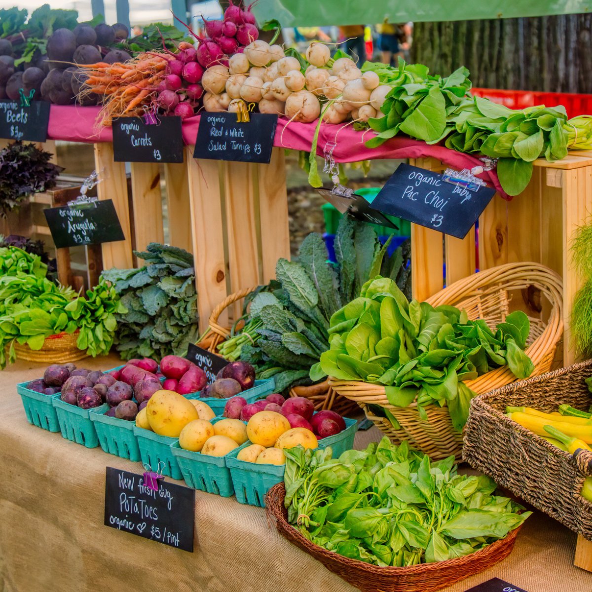 Today marks the first day of National Farmers Market Week! 🍴 Celebrate by visiting your local market, picking up fresh produce, and supporting the farmers and food champions who nourish our communities. 🌽🥕🍒

Find a market near you: ams.usda.gov/local-food-dir…

#Go4Wellness