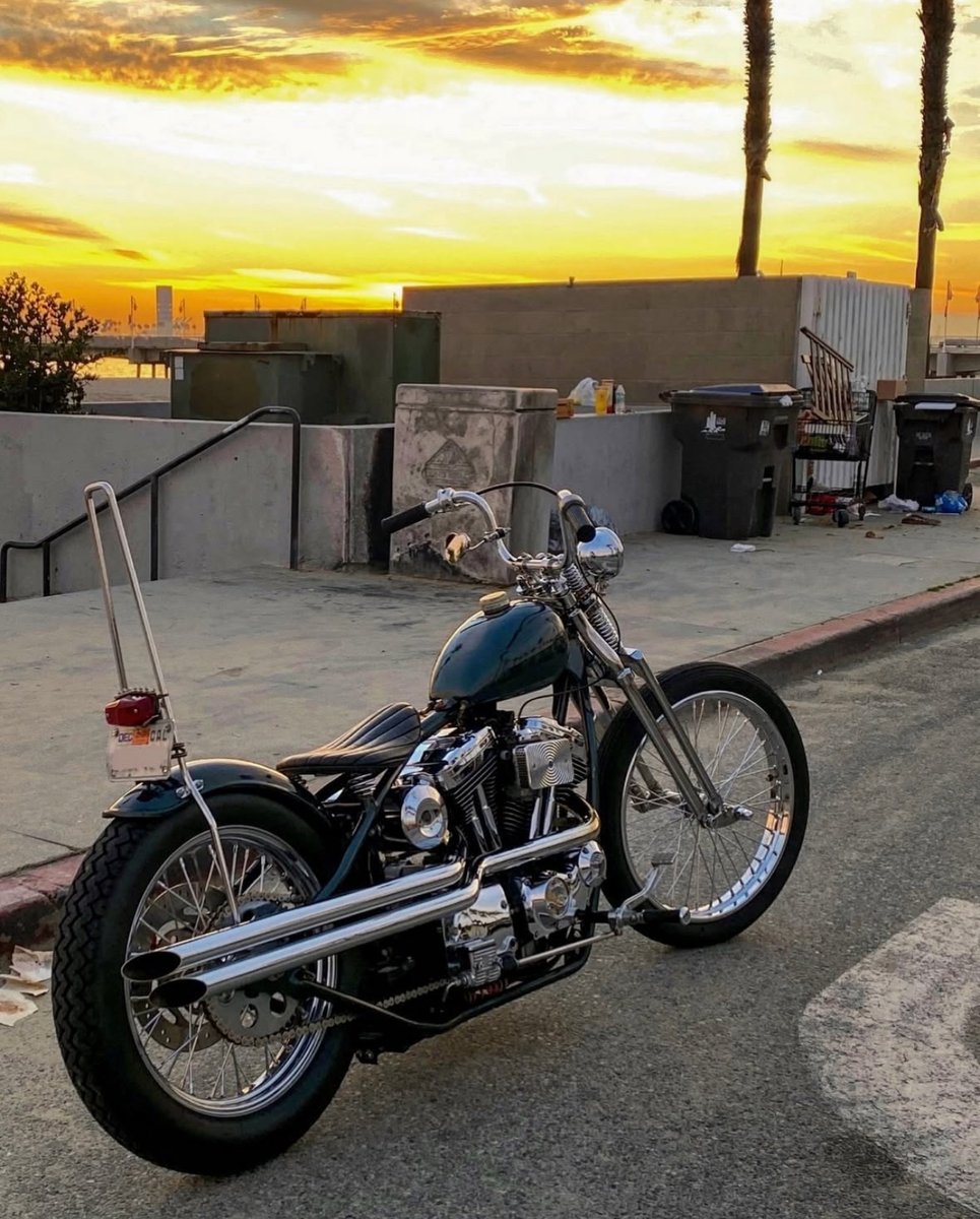 eat nice Sporty chop from <a href="/motor/">Motor</a>.psychedelic #choppershit #sportsters #sportsterchop #chopshit #chppr #moto #ftw #chopitbuilditrideit