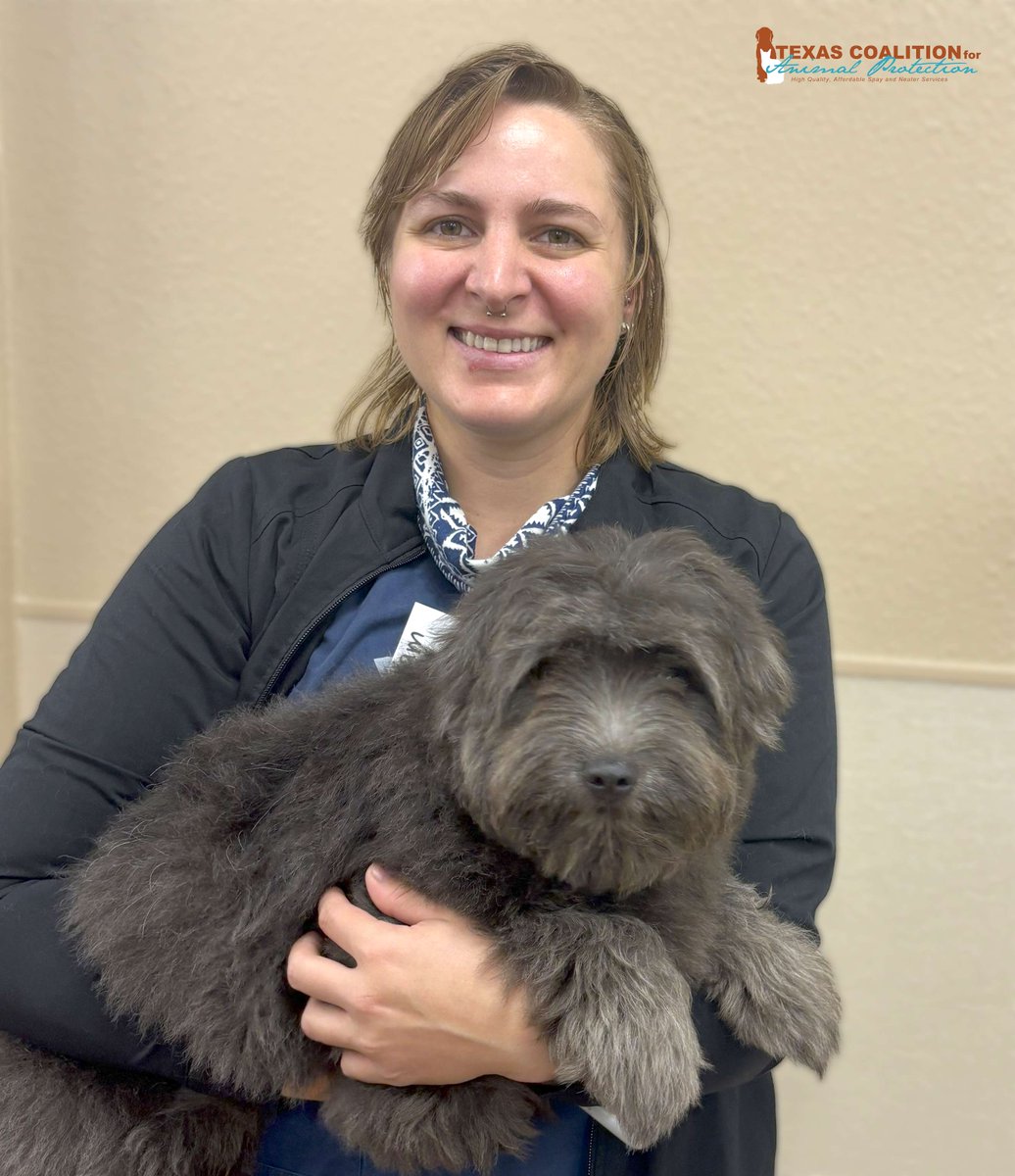 TCforAP's tweet image. Visit us at TCAP, where you can fully vaccinate, microchip, &amp;amp; receive a pet gift for your puppy for only $85 with our Puppy Vaccine Wellness Package!🐶

Calendar: ow.ly/kiP550WuNU3

#TexasForThem #NeuterIsCuter #TCAPSpayNeuter #DFWSpayNeuter #LowCostPetCareDFW