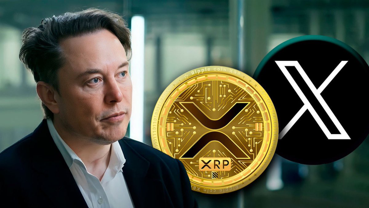 Kaufen Sie #XRP, bevor Elon Musk etwas über #XRP ankündigt