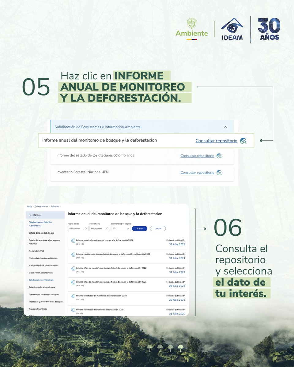 🌳 ¿Cómo está cambiando el bosque en Colombia?
📊 Aprende a consultar el Informe Anual de Monitoreo de Bosques y Deforestación 2024 del #Ideam.
🔍 Datos, mapas y análisis clave.
👉 bit.ly/3HhlB5E
#Deforestación #BosquesColombia #CambioClimático #MonitoreoAmbiental #Datos