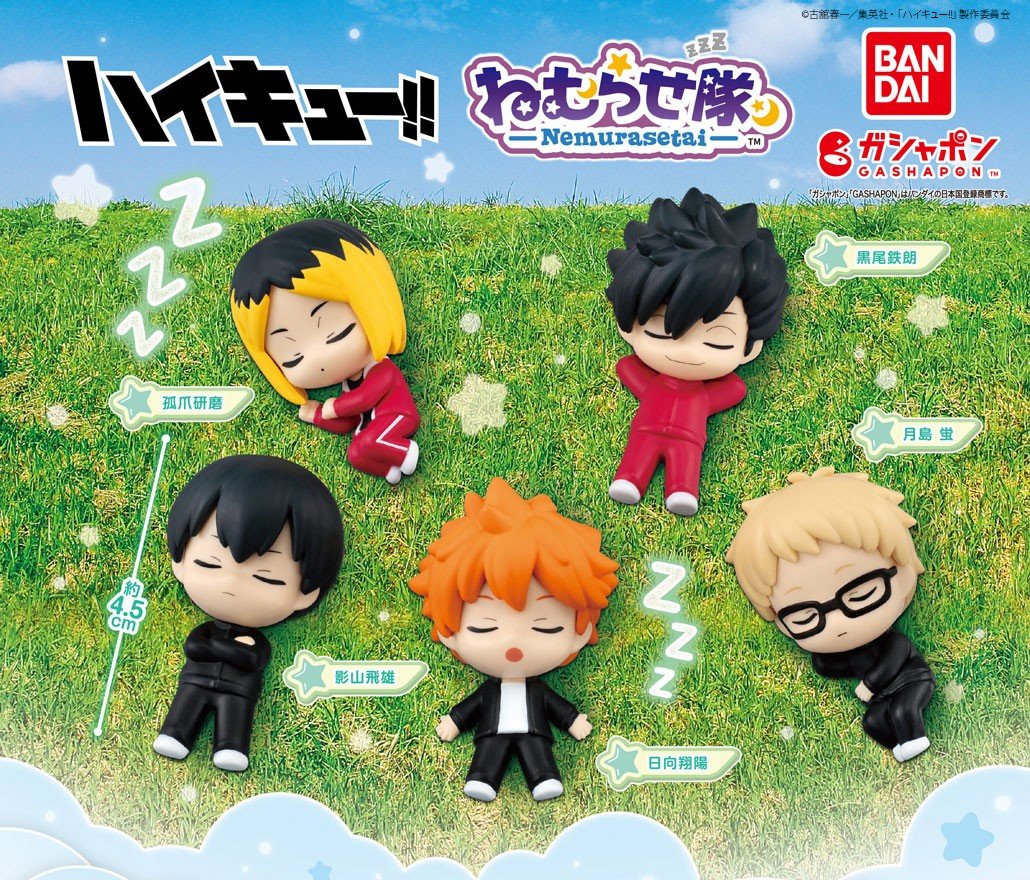 rfdhyaaa's tweet image. WTS Haikyuu nemurasetai Tsukki/Tsukishima Kei

Ready indo
Free ball gacha
Harga 95k

Dom jogja
id.shp.ee/QdtjbeR

#warunghq #warunghaikyuu #tsukishima #tsukki #Haikyuu