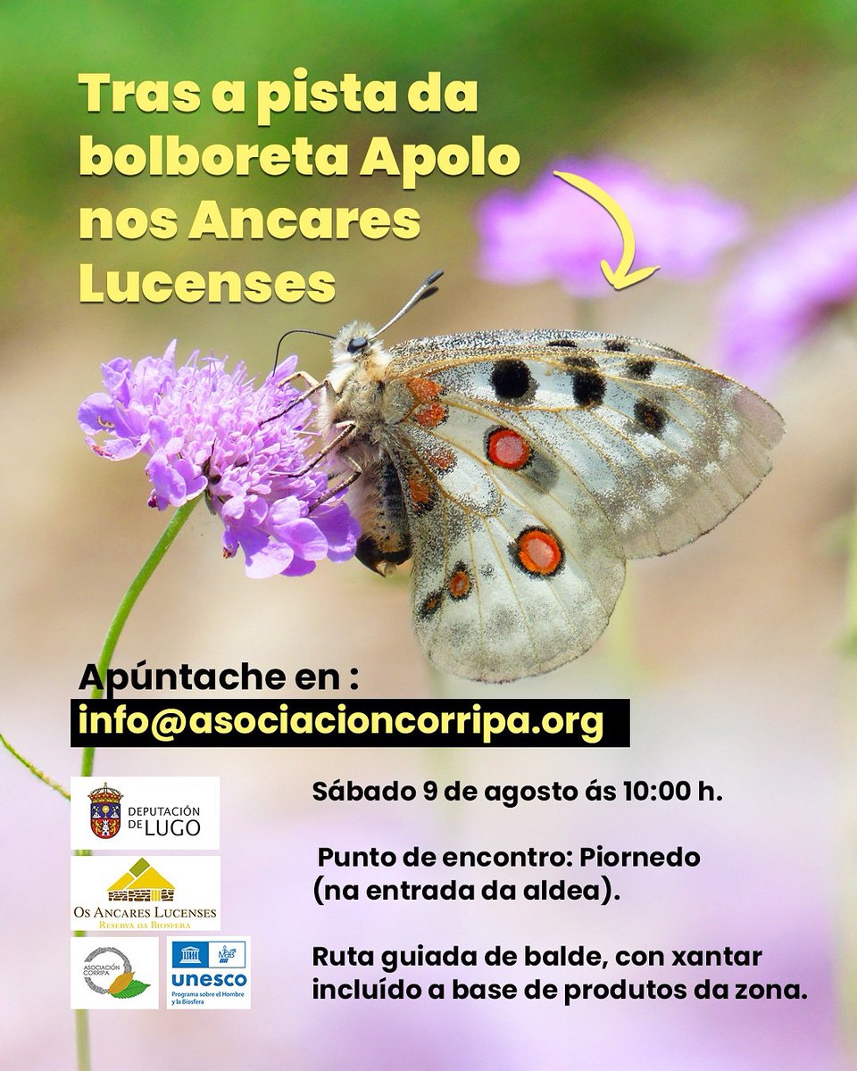 🦋 Tras a pista da bolboreta Apolo
🗓 Sábado 9 de agosto de 2025
🕙 10:00 h
📍 Punto de encontro: Piornedo (na entrada da aldea)
📌 maps.app.goo.gl/pwhCuk2Hxqb4n3…

Con colaboración de Lola e Isolina de @piornedoanda.
