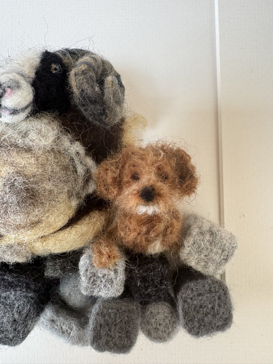 Commissioned as a surprise birthday gift. The recipient a Derby County F.C or ‘The Rams’ fan! The piece was to have three Rams and his dog, Freddie. Framed and mounted in the football club colours.   

#artcommissions #sheep #cockapoo #derbycountyfc