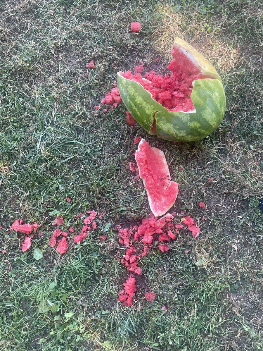 Indy Spectre tweet media