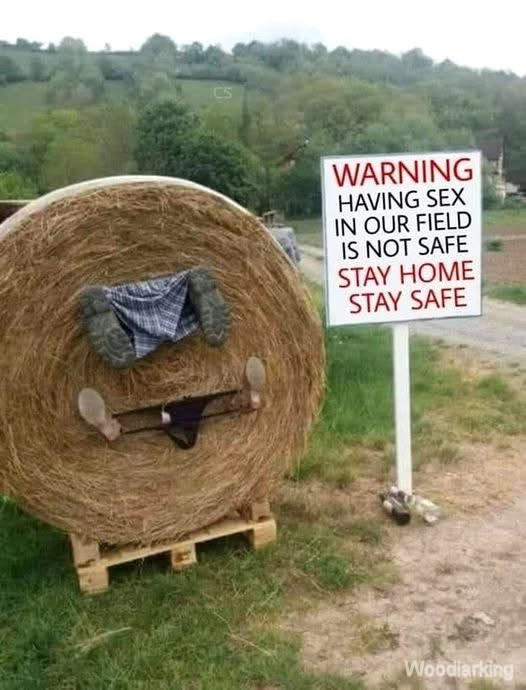 FarmerDave tweet media