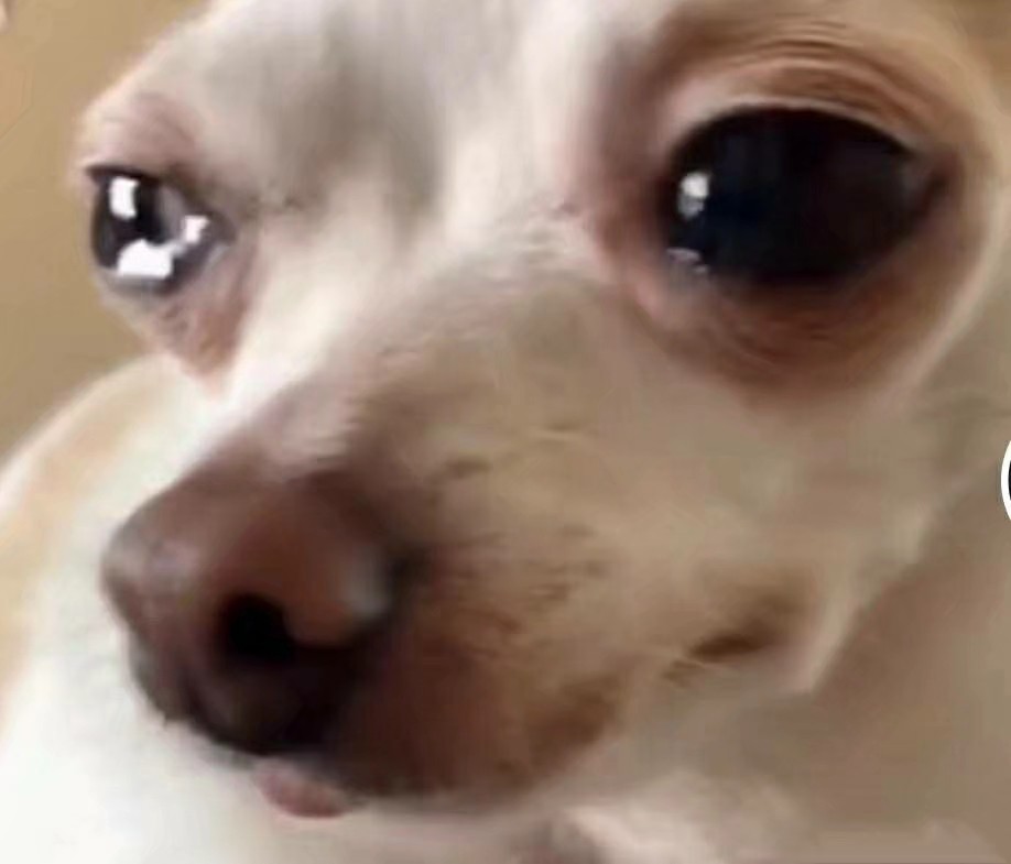 多重腓busy (@zhfei_ing) on Twitter photo 