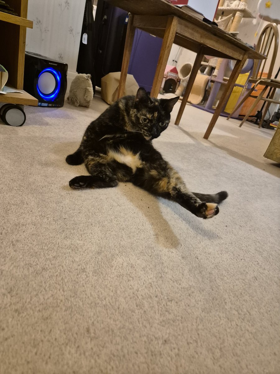 anothor sundy , anothor sit