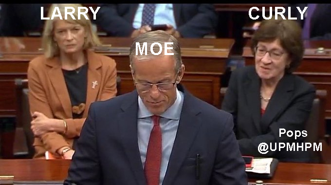 This! 👇🏻🧐 No other words needed except RINOs!🤬 #draintheswamp #RINOsAreWorseThanDemocrats