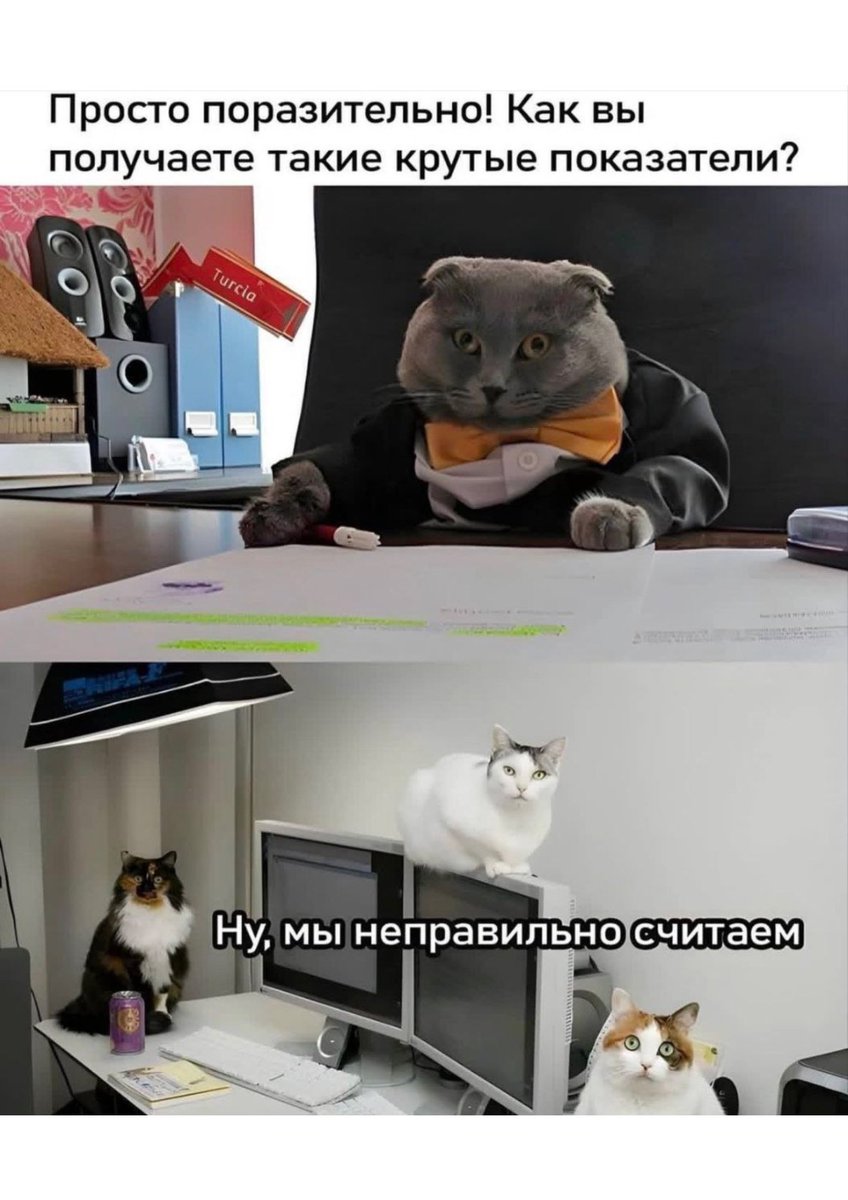 Когда опять что-то не сходится по инвентаризации, но я всё равно молодец