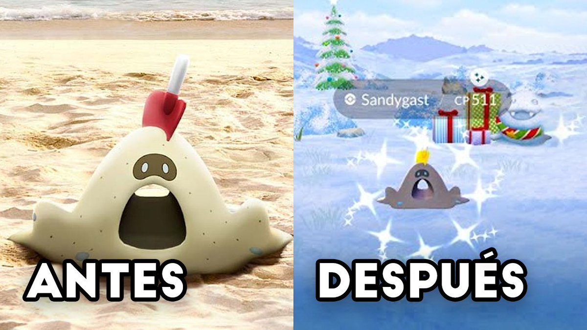 NidosCDMX 🪺🇲🇽 tweet media