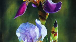 #Art 
#ArtLovers 
#Painting 

Les iris 

🎨 Brigitte Heudelot