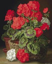 #Art 
#ArtLovers 
#Painting 

Géraniums 🤍❤️

🎨 Gerald A. Cooper