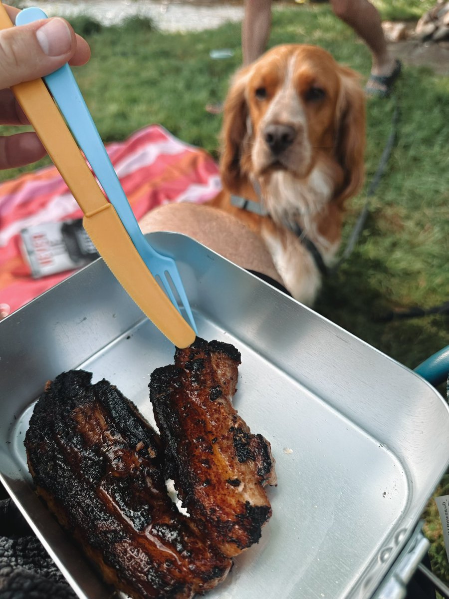 mrhpst's tweet photo. Do you think he wants me or my belly pork? 😂 https://t.co/pKxisdhxEz