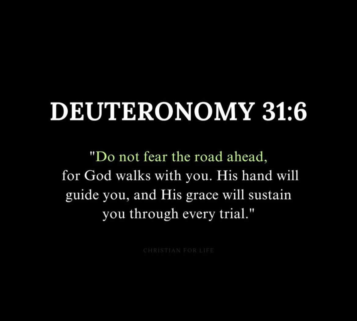 Happy Sunday!