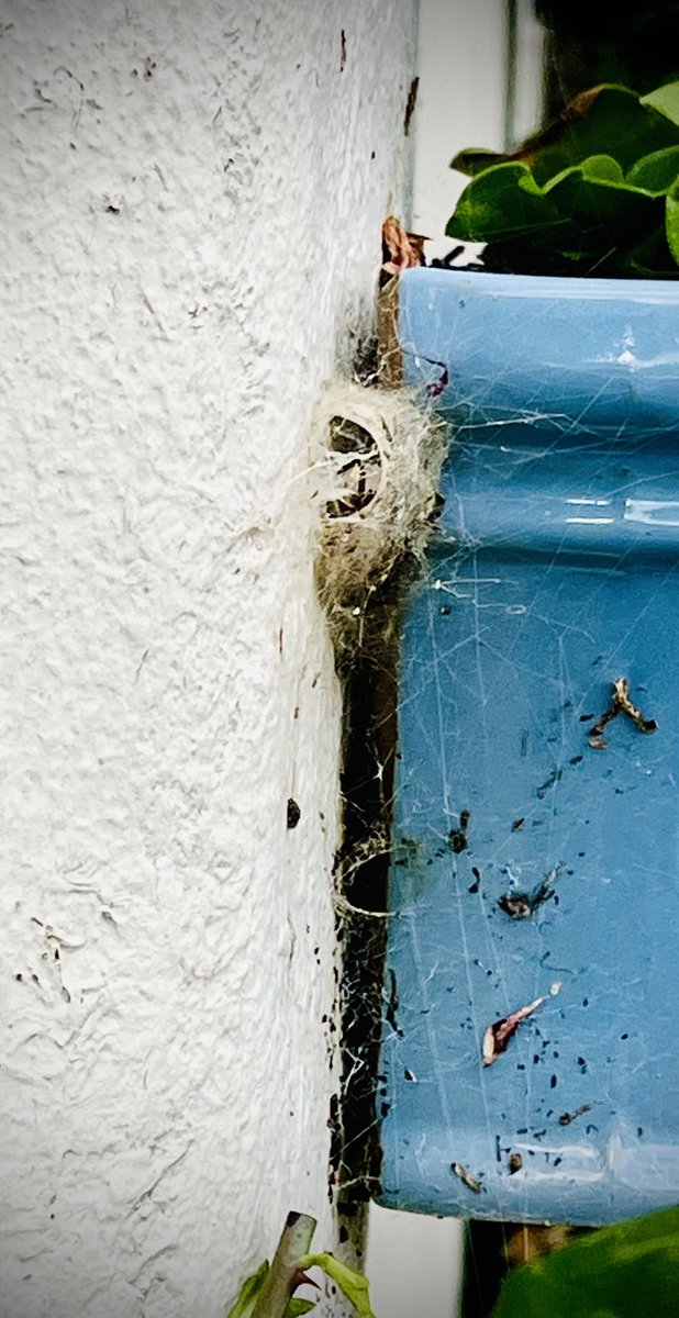 Catherine Russell tweet media