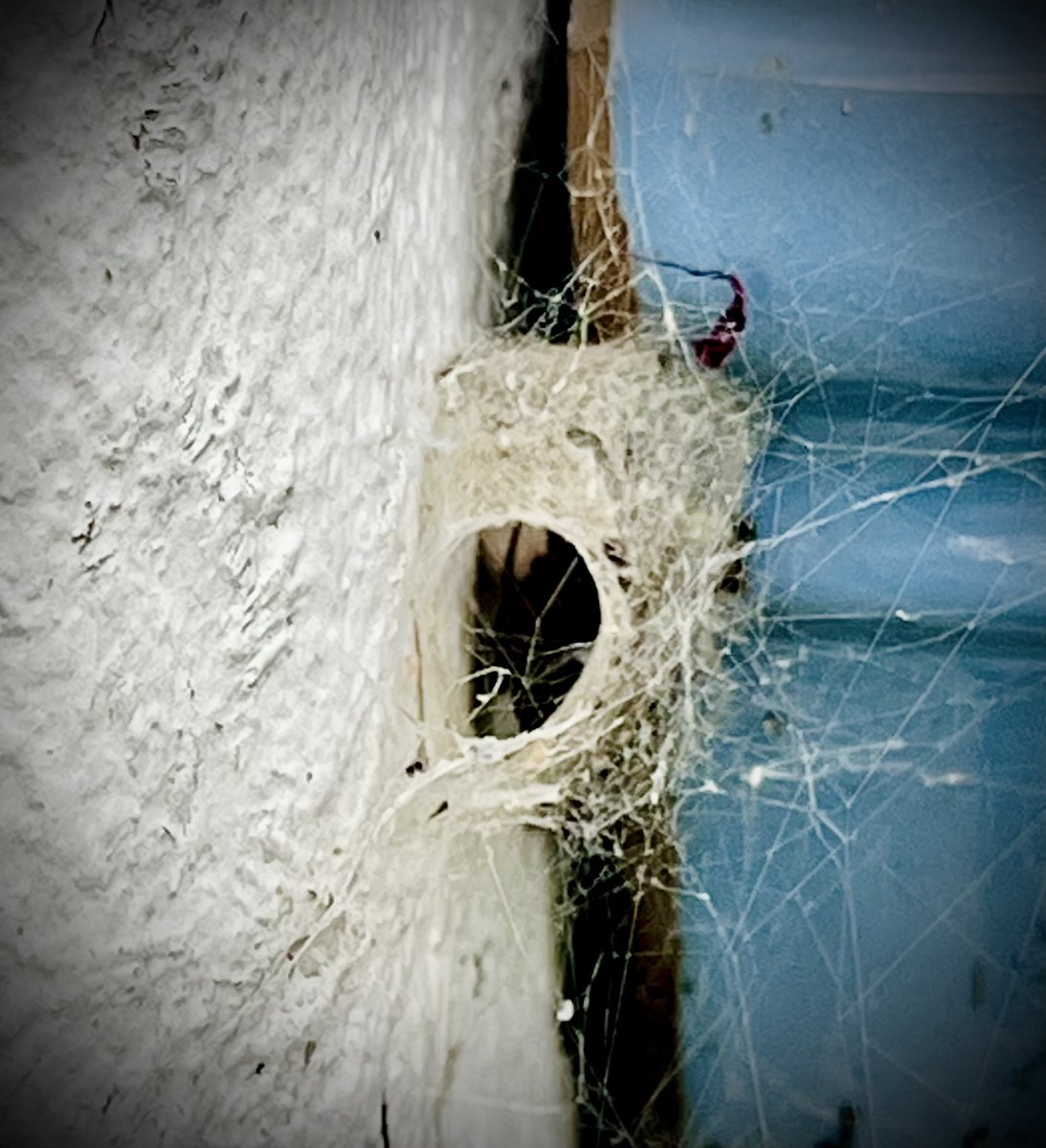 Catherine Russell tweet media