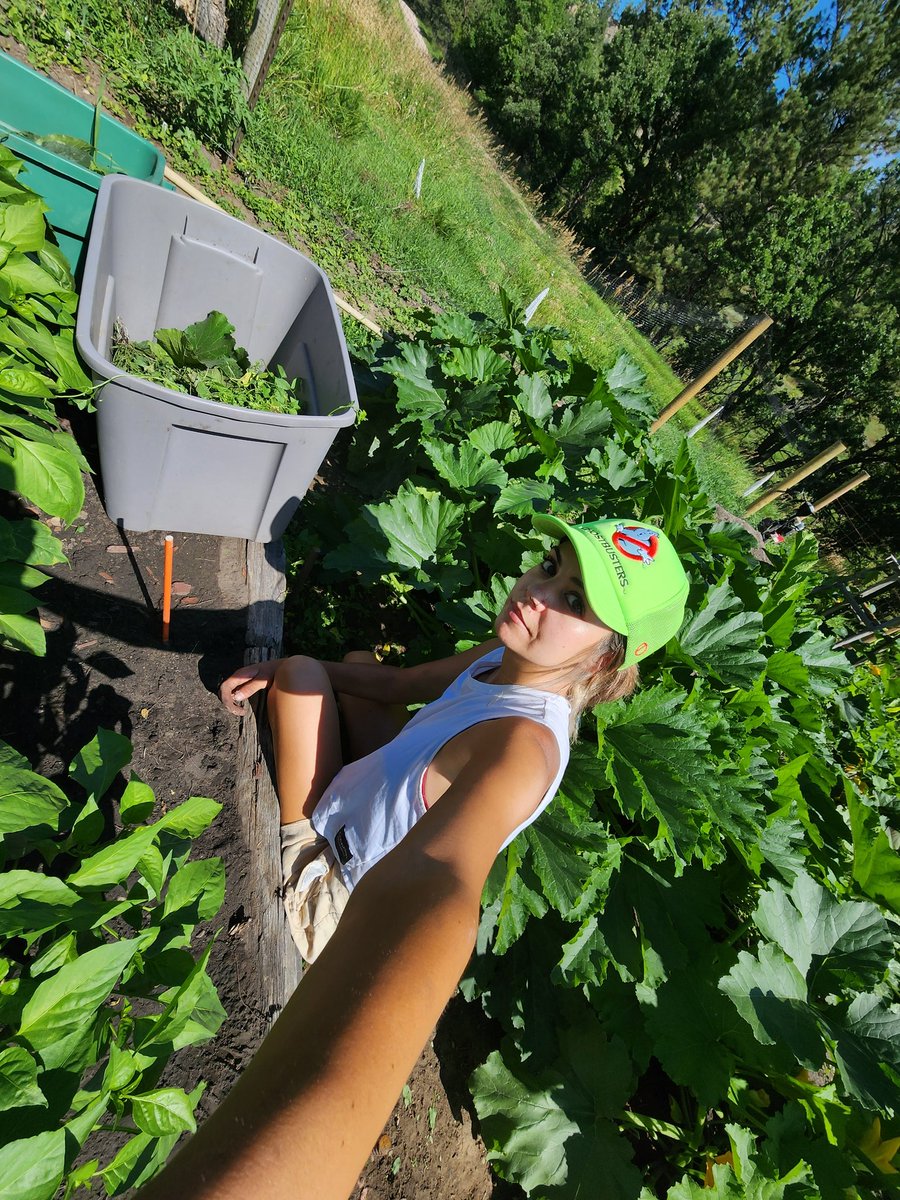 caegirll's tweet photo. #fertilized https://t.co/i87W0NdIfq